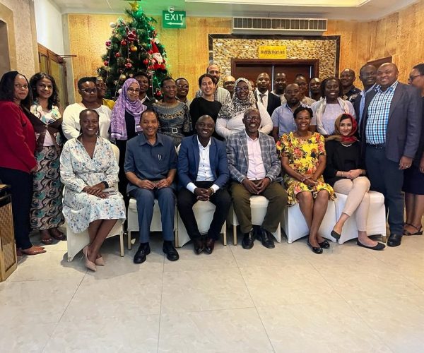 National Safe Motherhood Technical Working Group Meeting- AGOTA representatives with other profe